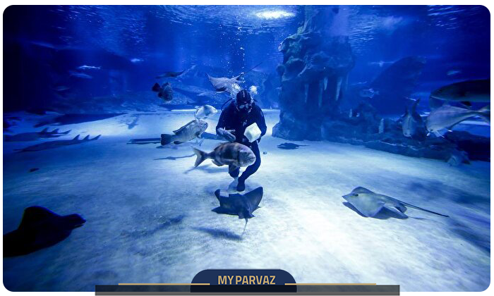 Diving at Antalya Aquarium